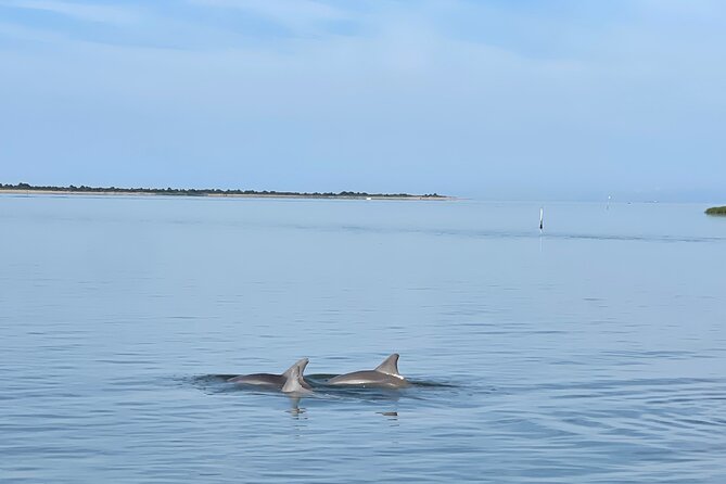 Chincoteague Dolphin Watching Boat Tour - John’s guiding style and the value of questions