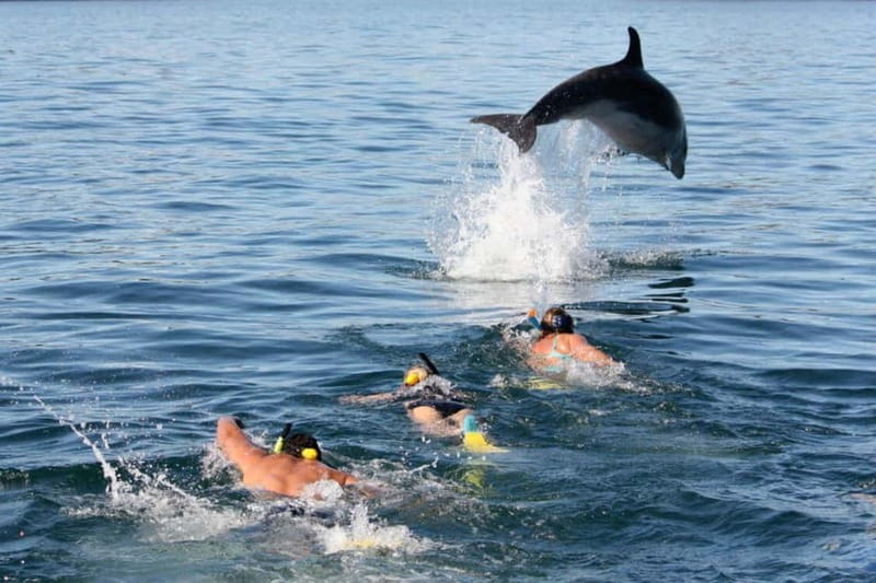City Of Side: Dolphin Island Boat or Side Boat Tour Options - The morning ride through Sorgun Forest
