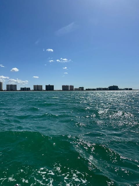 Clearwater: 1 Hour Jetski Dolphin Tour with Guide - What to Bring and What to Leave Behind