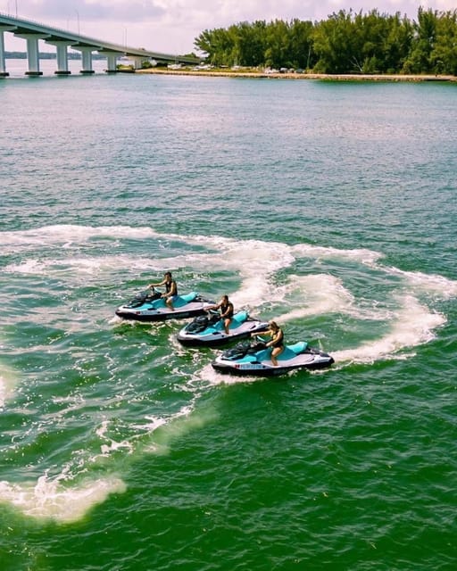 Clearwater: 1 Hour Jetski Dolphin Tour with Guide - Dolphin Sightings Without False Promises