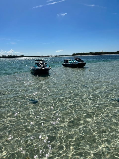 Clearwater: 1 Hour Jetski Dolphin Tour with Guide - Florida’s Boating Safety Card Rule