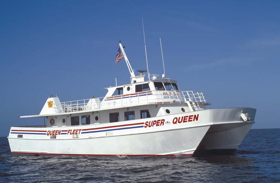 Clearwater Beach and Dolphin Cruise Day Trip from Orlando - Why Clearwater makes a good break from Orlando