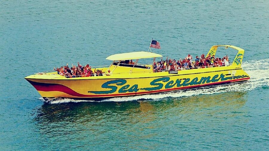 Clearwater Beach and Dolphin Cruise Day Trip from Orlando - Five hours to make Clearwater Beach your own