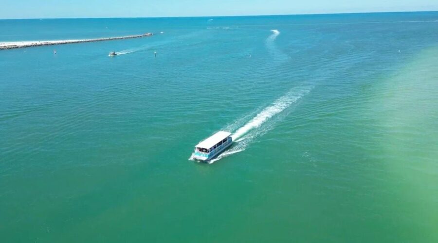 Clearwater Beach: Dolphin & Island Sandbar Cruise - Key points to know before you book