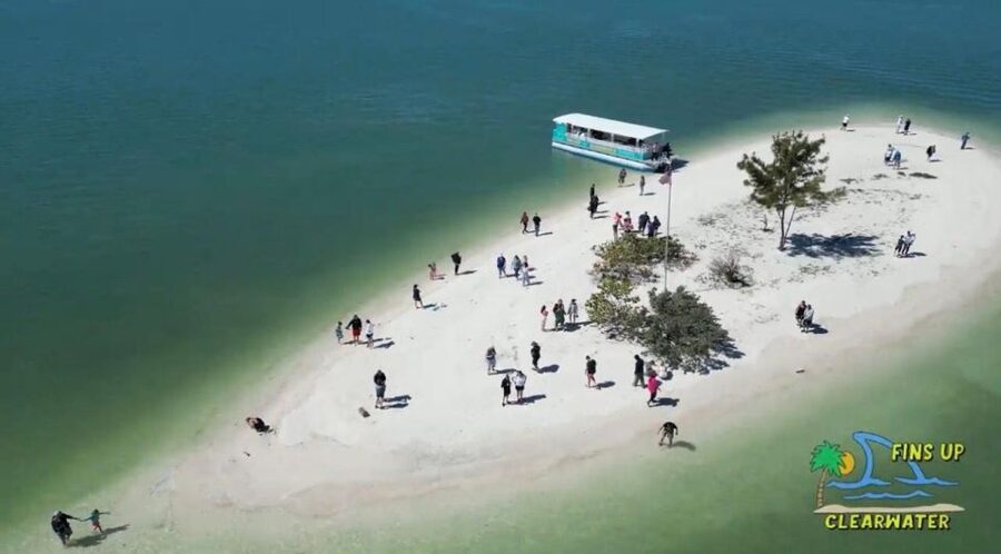 Clearwater Beach: Dolphin & Island Sandbar Cruise - Who should book this Clearwater cruise?