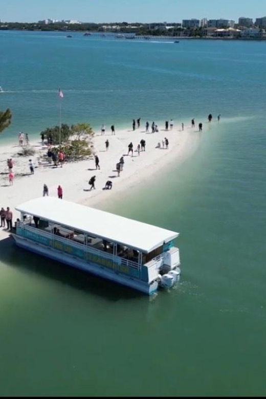 Clearwater Beach: Dolphin & Island Sandbar Cruise - A two-hour cruise with a clear purpose
