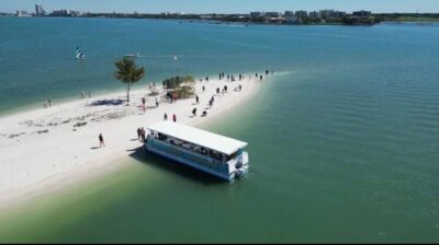 Clearwater Beach: Dolphin & Island Sandbar Cruise