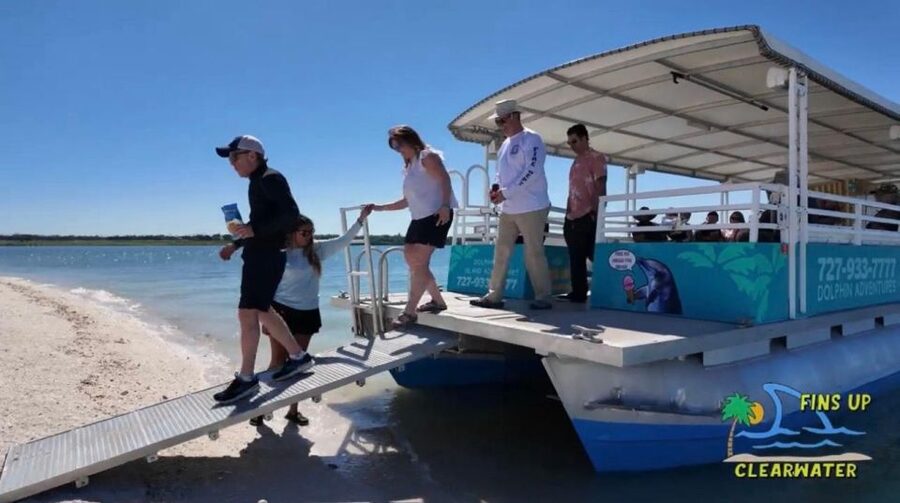 Clearwater Beach: Dolphin & Island Sandbar Cruise - One Tree Island and the short swim stop