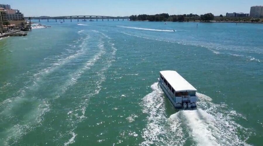 Clearwater Beach: Dolphin & Island Sandbar Cruise - What makes the crew important