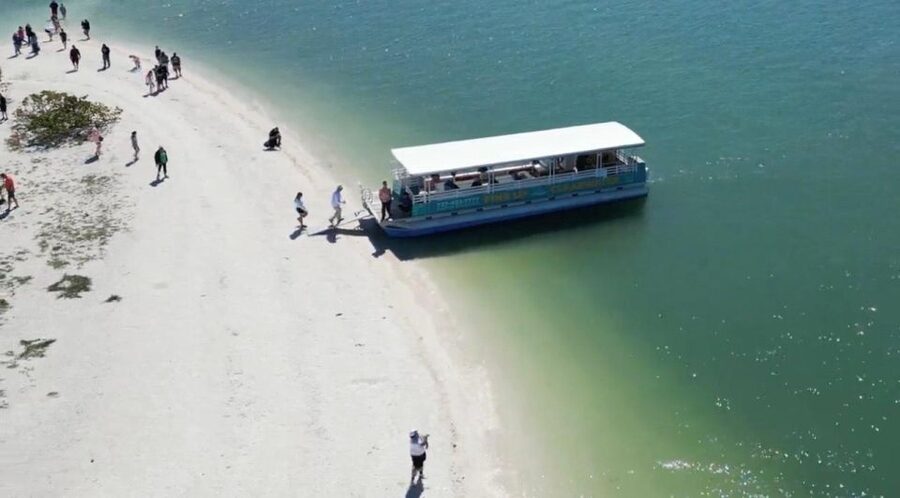 Clearwater Beach: Dolphin & Island Sandbar Cruise - Is $28 a good value?
