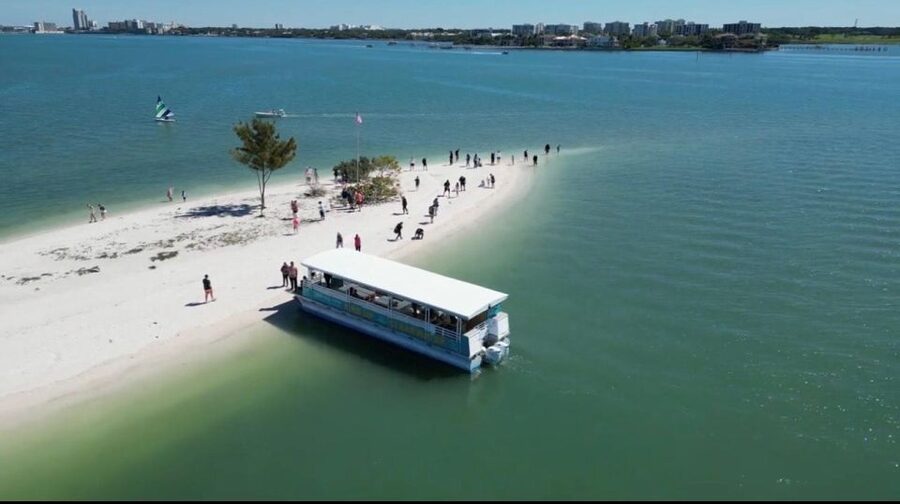 Clearwater Beach: Dolphin & Island Sandbar Cruise - Meeting at Causeway Boulevard