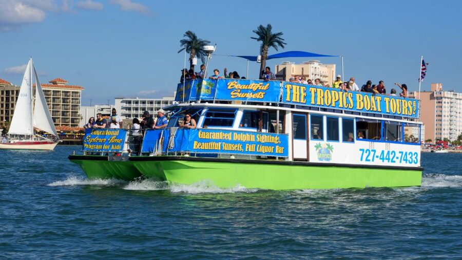 Clearwater: Cruise with Guaranteed Dolphin Sightings - From Clearwater Bay to open Gulf water