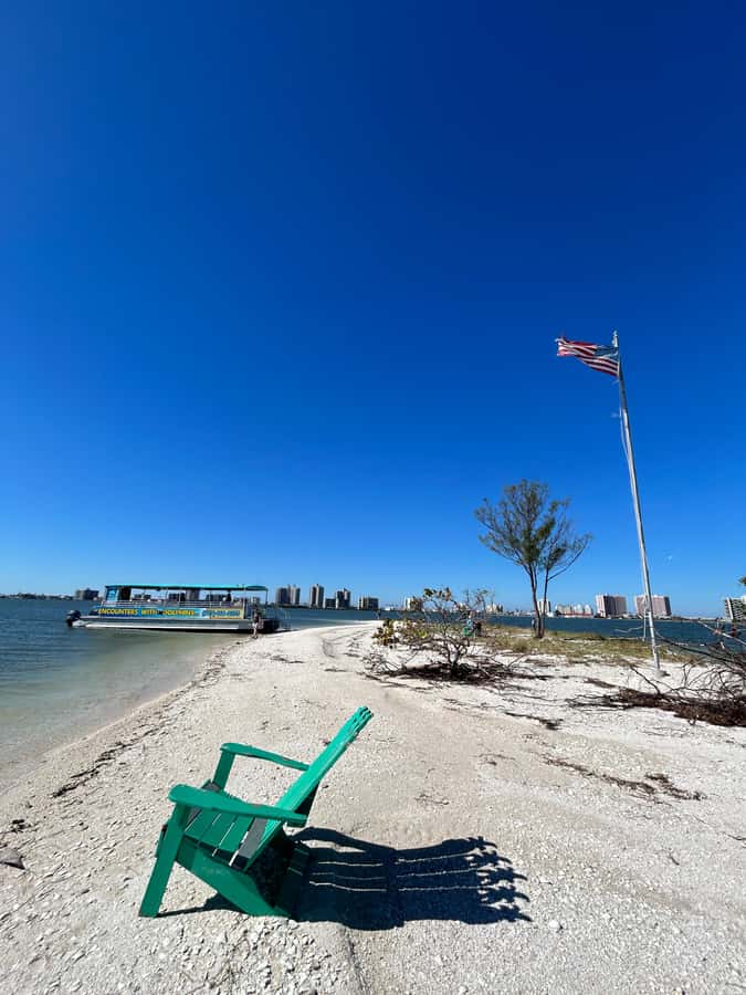 Clearwater: Dolphin Cruise with an Island Adventure - Should you book it?