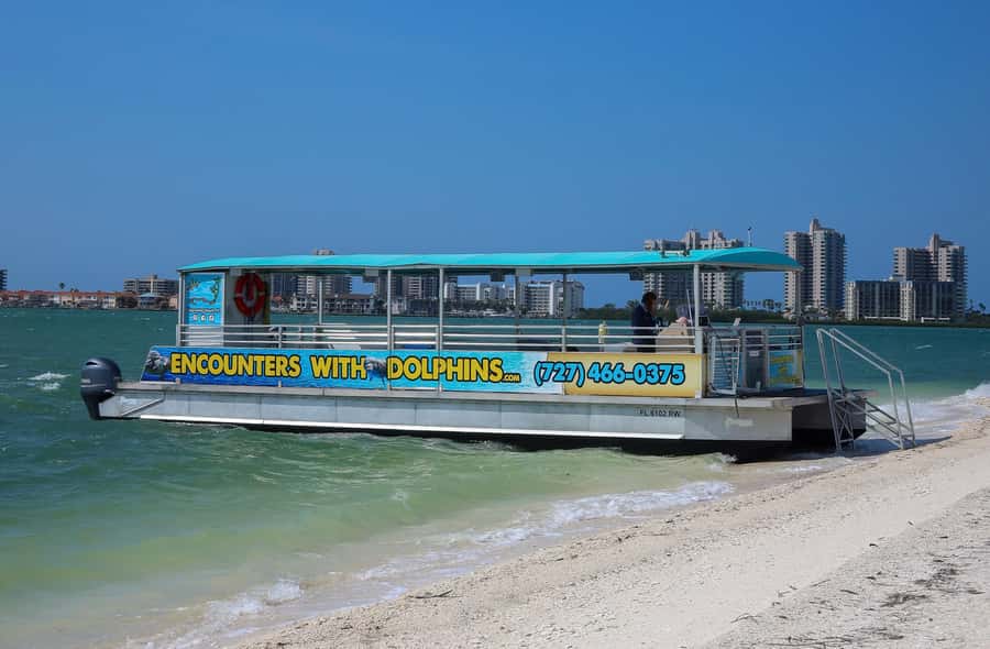 Clearwater: Dolphin Cruise with an Island Adventure - Why Compass Island makes the trip more useful