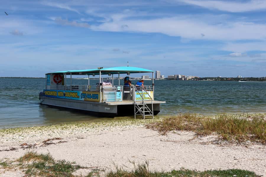 Clearwater: Dolphin Cruise with an Island Adventure - Who should book this Clearwater cruise?