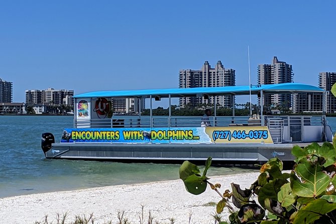 Clearwater Encounters with Dolphins Tour - Why wild dolphins mean an uncertain payoff