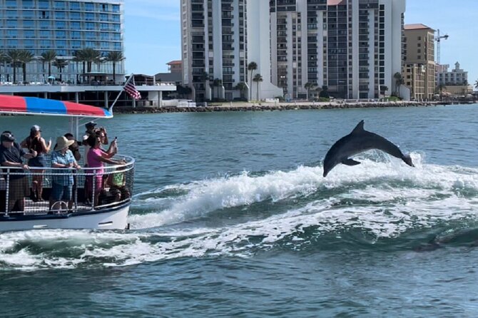 Clearwater Encounters with Dolphins Tour - Practical planning from Causeway Boulevard