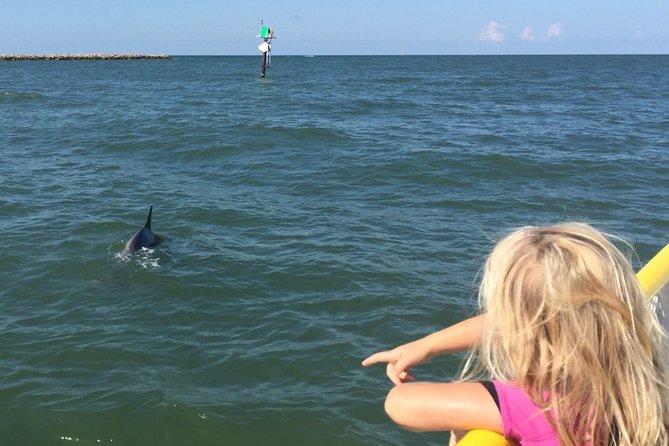 Clearwater Encounters with Dolphins Tour - Who will enjoy this Clearwater outing