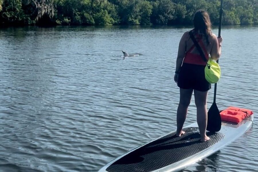 Cocoa Beach: Dolphin and Manatee Kayak or Paddle Tour - The first paddle through Cocoa Beach’s waterways