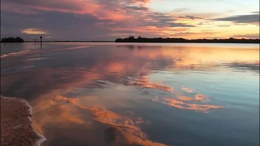 Cocoa Beach: Dolphin & Manatee Pontoon Cruise - Key points to know before booking
