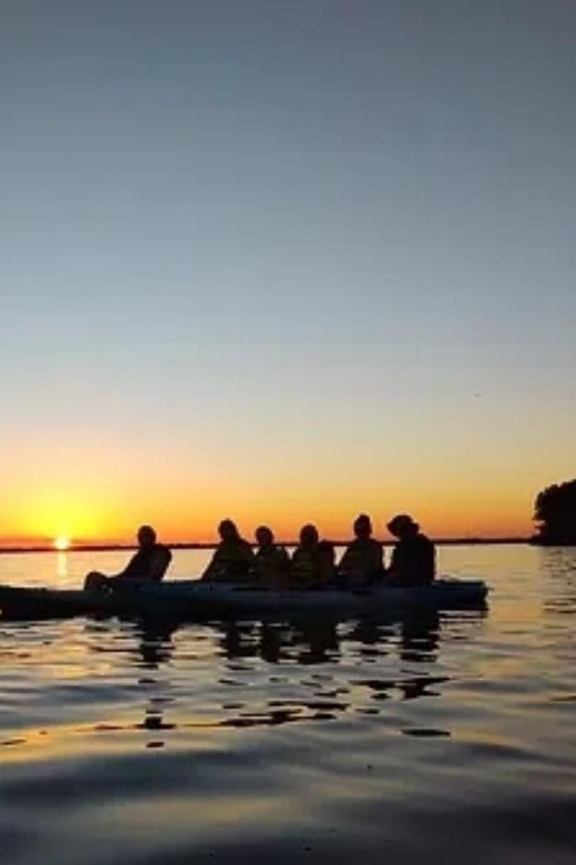 Cocoa Beach/Merritt Island: Guided Dolphin and Manatee Tour - Starting at Kiwanis Island Park in Merritt Island