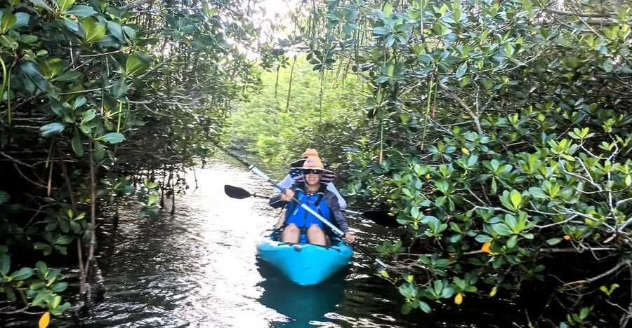 Cocoa Beach/Merritt Island: Guided Dolphin and Manatee Tour - Dolphins are the tour’s biggest draw