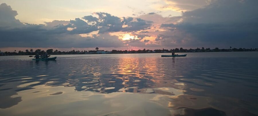 Cocoa Beach/Merritt Island: Guided Dolphin and Manatee Tour - Birds and mangroves fill the quieter moments