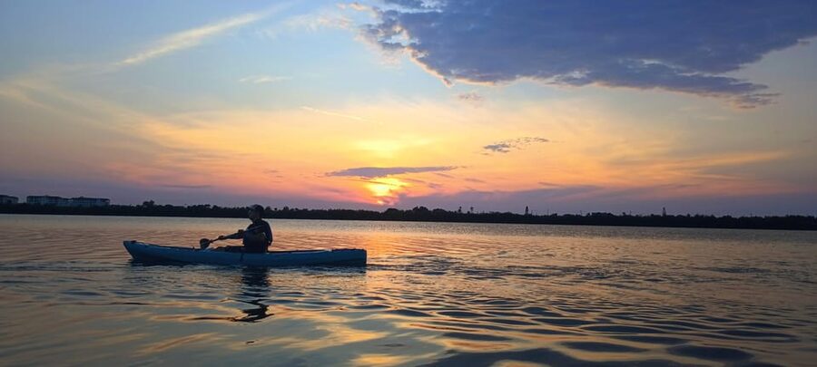 Cocoa Beach/Merritt Island: Guided Dolphin and Manatee Tour - Who will enjoy this tour most