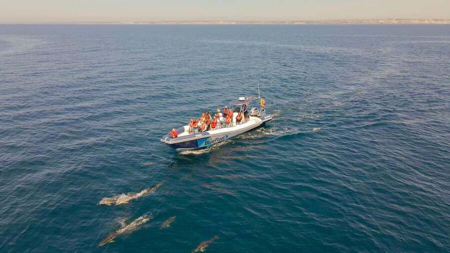 Combo: Benagil & Dolphins Boat Tour w/ Marine Biologists - Is the $63 price fair?