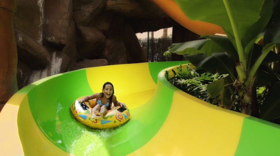Costa Adeje: Aqualand Water Park Ticket with Dolphin Show - Accessibility and comfort for mixed groups