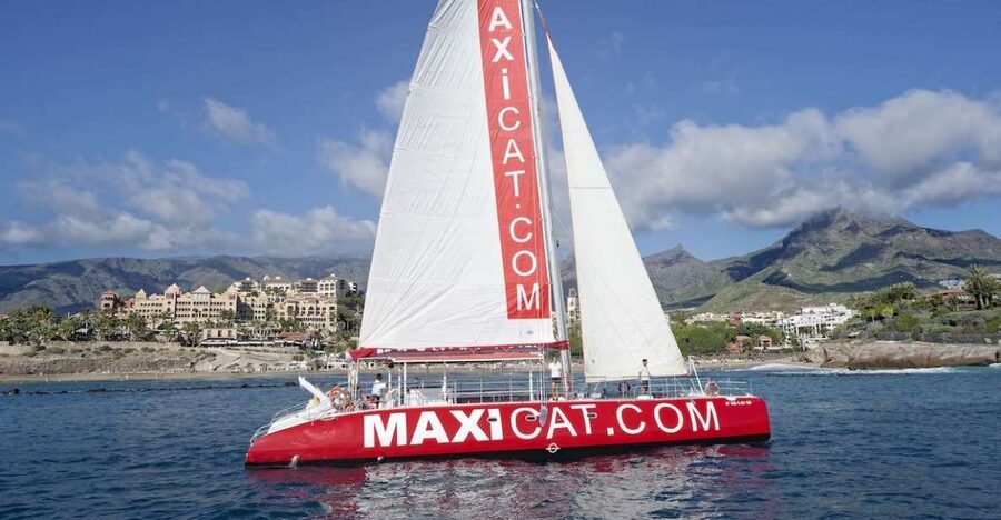 Costa Adeje: Whale and Dolphin Cruise with Food and Pickup - Looking for Pilot Whales and Atlantic Spotted Dolphins