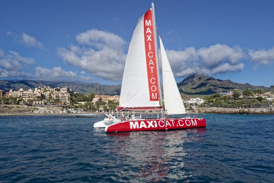 Costa Adeje: Whale and Dolphin Cruise with Food and Pickup - FAQ
