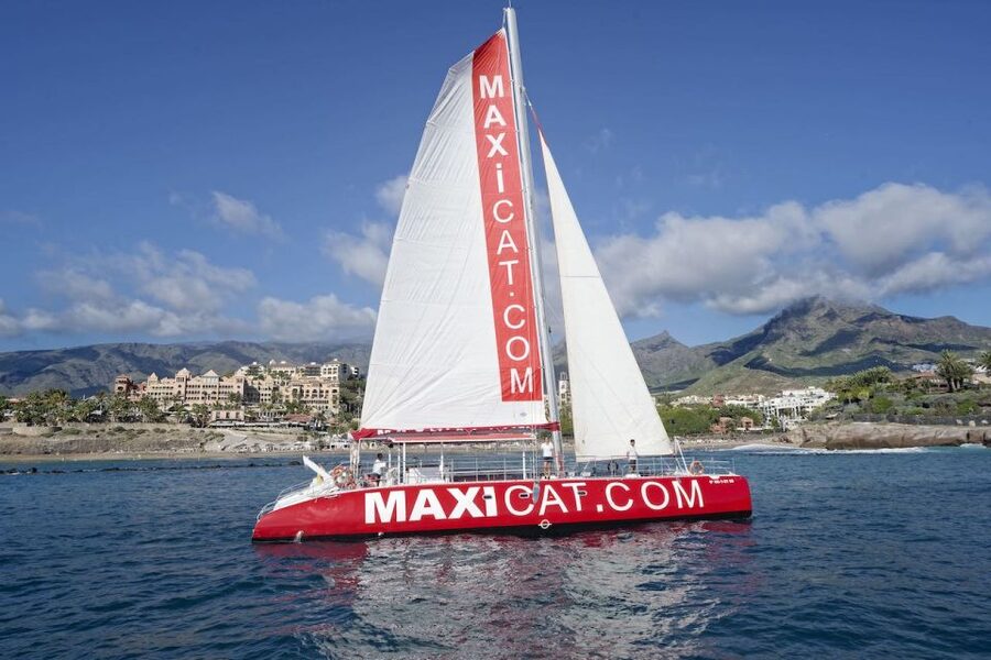 Costa Adeje: Whale and Dolphin Cruise with Food and Pickup - What the Catamaran Ride Feels Like