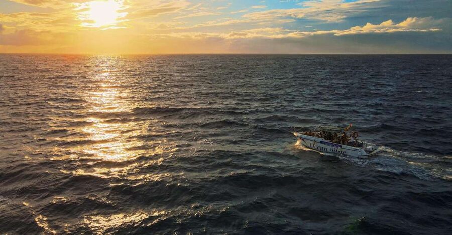 Costa Adeje: Whale and Dolphin-Watching Boat Excursion - Searching the waters for pilot whales and dolphins