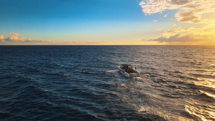 Costa Adeje: Whale and Dolphin-Watching Boat Excursion - Glass-bottom viewing and open-water scenery