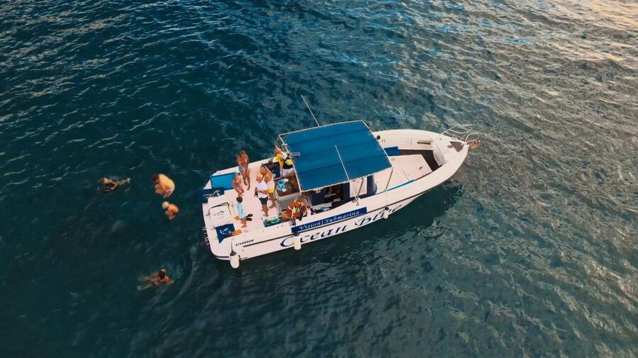 Costa Adeje: Whale and Dolphin-Watching Boat Excursion - Weather, comfort, and accessibility