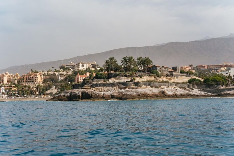 Costa Adeje: Whale & Dolphin Eco-Cruise with Snacks & Drinks - Is the Costa Adeje whale and dolphin cruise worth booking?
