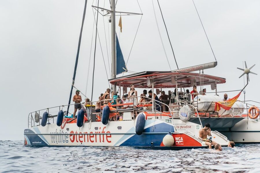 Costa Adeje: Whale & Dolphin Eco-Cruise with Snacks & Drinks - Setting out from Puerto Colón in Costa Adeje