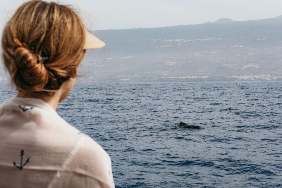 Costa Adeje: Whale & Dolphin Eco-Cruise with Snacks & Drinks - Listening beneath the boat