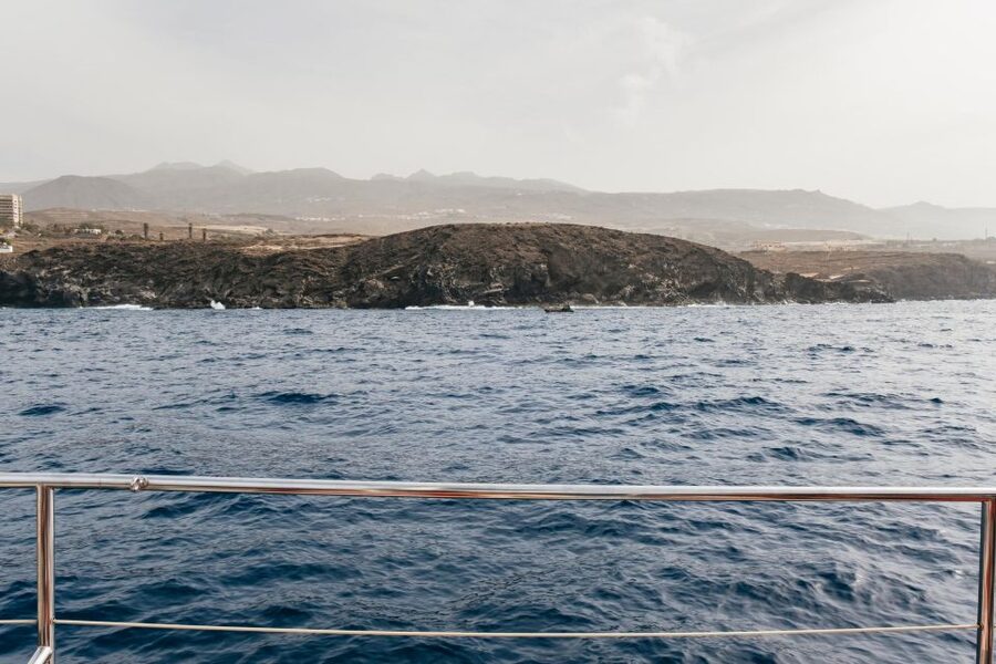 Costa Adeje: Whale & Dolphin Eco-Cruise with Snacks & Drinks - What makes the eco approach worthwhile