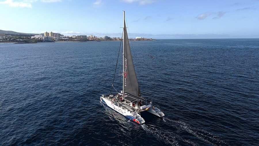 Costa Adeje: Whale & Dolphin Eco-Cruise with Snacks & Drinks - Who will enjoy this trip most