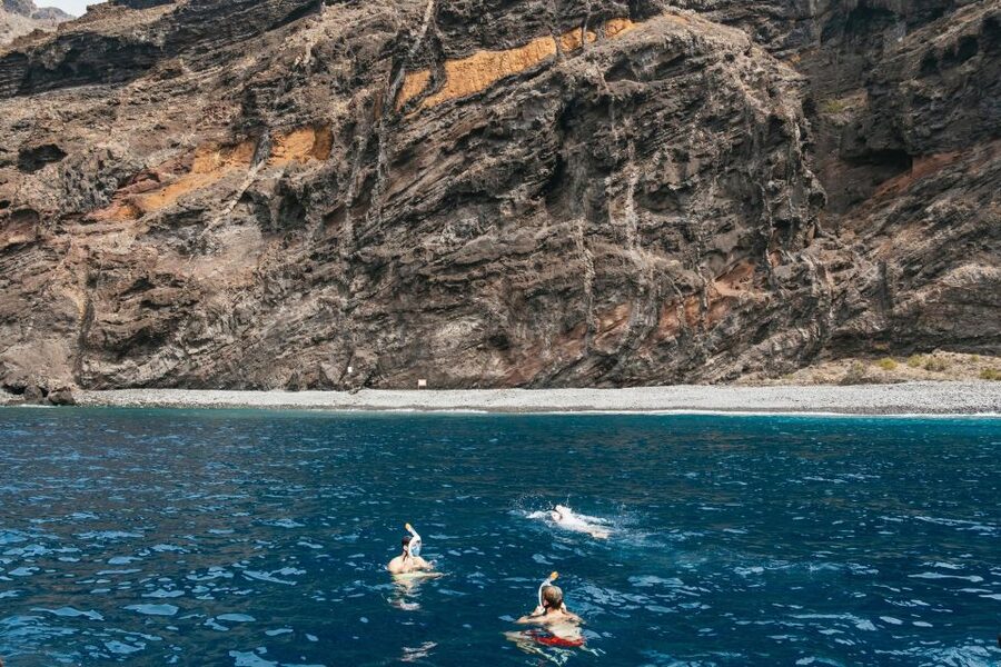 Costa Adeje: Whale & Dolphin Eco-Cruise with Snacks & Drinks - Watching whales and dolphins in protected waters