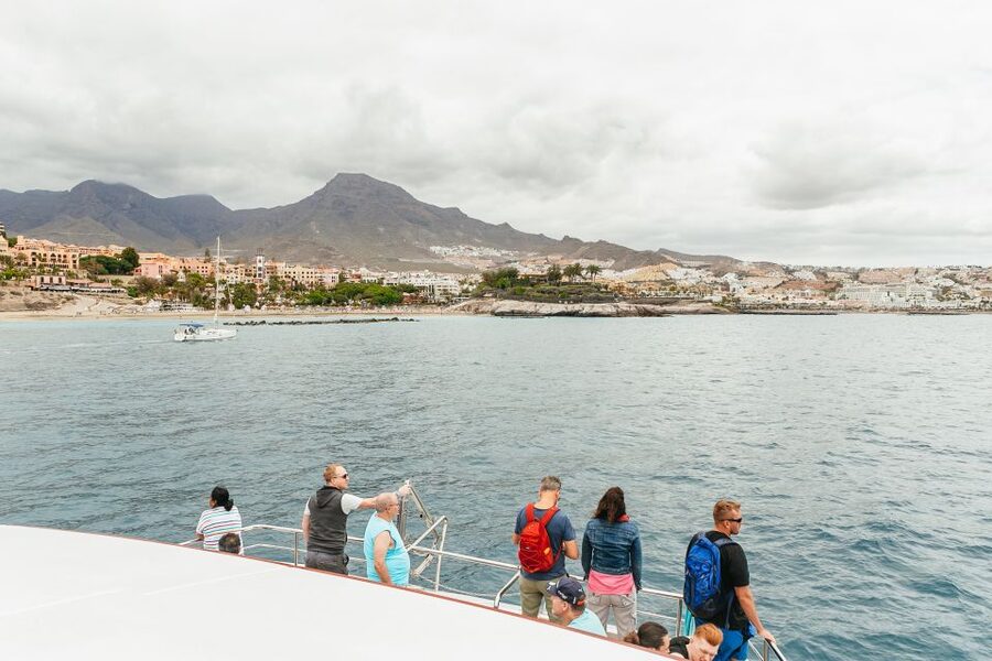 Costa Adeje: Whale & Dolphin Submarine Vision Mini Cruise - Finding pilot whales and dolphins near Adeje
