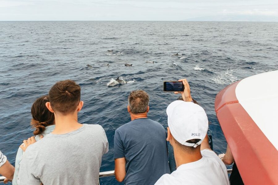 Costa Adeje: Whale & Dolphin Submarine Vision Mini Cruise - The underwater windows: useful, but not magic