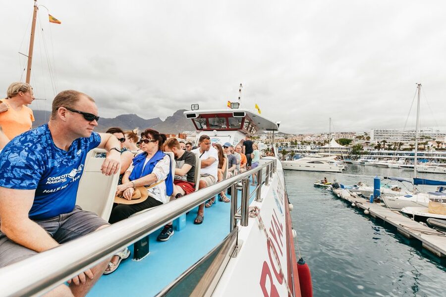 Costa Adeje: Whale & Dolphin Submarine Vision Mini Cruise - The coastal cruise on the way home
