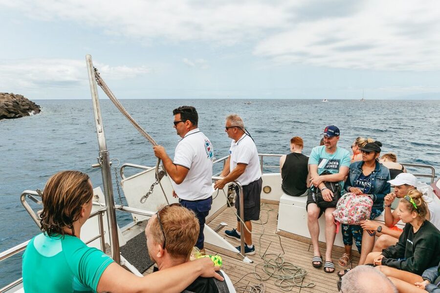 Costa Adeje: Whale & Dolphin Submarine Vision Mini Cruise - Accessibility and practical comfort