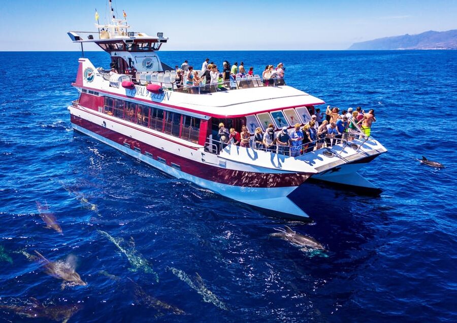 Costa Adeje: Whale & Dolphin Submarine Vision Mini Cruise - What the catamaran feels like after departure