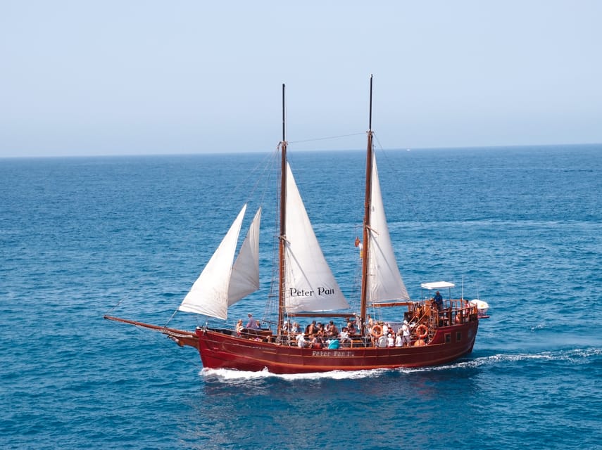 Costa Adeje: Whale & Dolphin Watching Cruise with Swim - At a glance