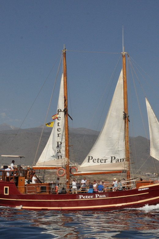 Costa Adeje: Whale & Dolphin Watching Cruise with Swim - Why the wooden schooner changes the mood
