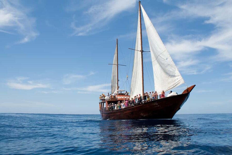 Costa Adeje: Whale & Dolphin Watching Cruise with Swim - How the trip compares with a beach day